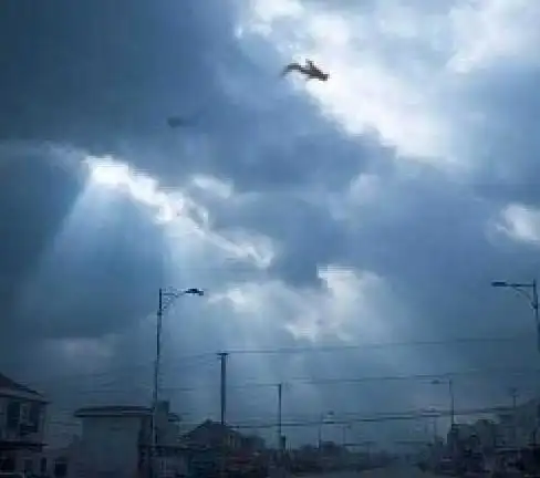 【引用】这世界上真的有龙吗?各种龙事件大曝光!