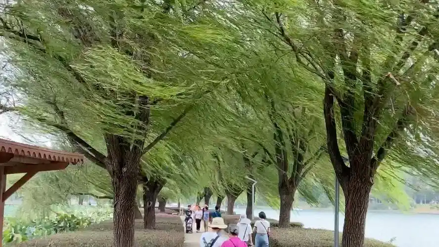 好喜欢这种刮风的天气