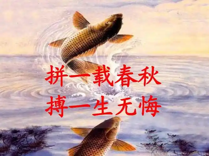 拼一载春秋 搏一生无悔