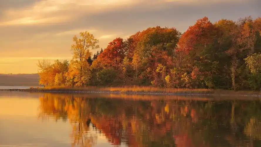 水中倒影唯美高清桌面壁纸