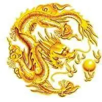 人头像龙的图片_微信头像图片大全