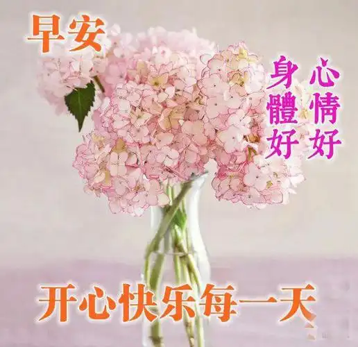 唯美夏日早安问候祝福图片鲜花带字_朋友