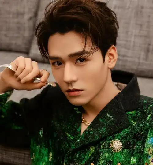 内娱男明星颜值排行(娱乐圈四大浓颜系帅哥)