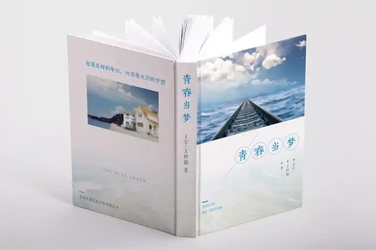 《青春当梦》是2018年7月江苏凤凰美术出版社出版的图书,作者是王宇