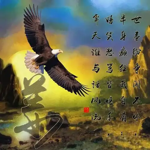 形象艺术绘画微信头像_百家姓书法头像_日落雄鹰_你喜欢吗