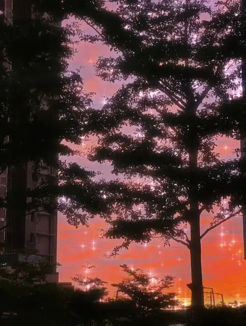 被火烧云刷屏的傍晚太梦幻啦