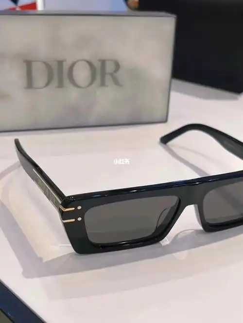diorsignature s2u 太阳眼镜