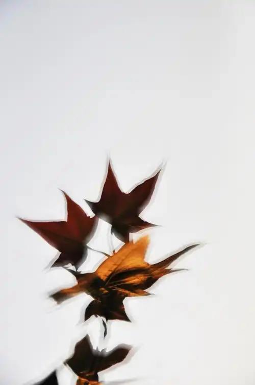 多次曝光对比练习