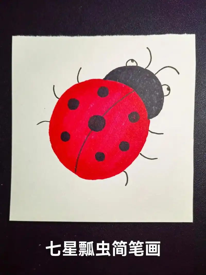 七星瓢虫简笔画,快带小朋友画起来吧.#七星瓢虫简笔画 #一起 - 抖音