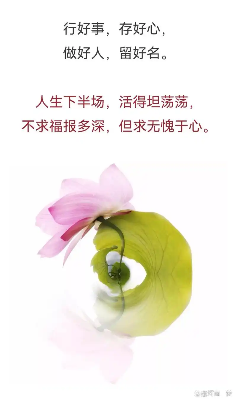 善良做人,心安一生(精辟)