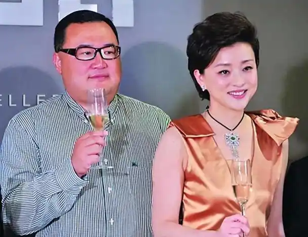 杨澜:我与老公早已没了感情,若坚持在一起,对彼此都是不公正的