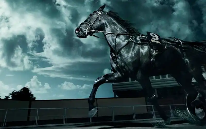 奔跑的黑马图片1440x900分辨率下载,奔跑的黑马图片,图片,壁纸,动物