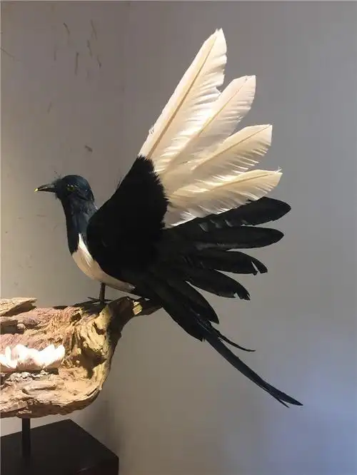 仿真鸟类标本仿真喜鹊鸟摆件教学模型羽毛鸟工艺鸟类飞禽标本创意礼品