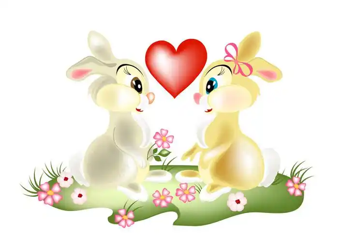 情侣,漂亮,卡通,兔子,情人节,绒毛状,野兔