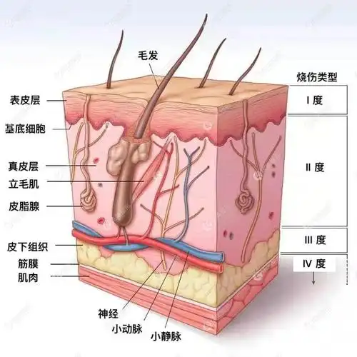 知道pst面部提升和拉皮都挺好但pst脸部提升究竟能做几次还不清楚