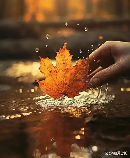 风中飘落的树叶图片枯黄的树叶树叶从树上飘落下来的图片天冷了树叶落