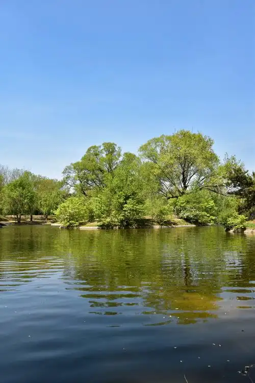 美丽风景都在奥林匹克公园北区