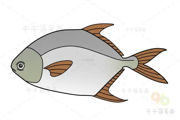 卵形鲳鲹简笔画