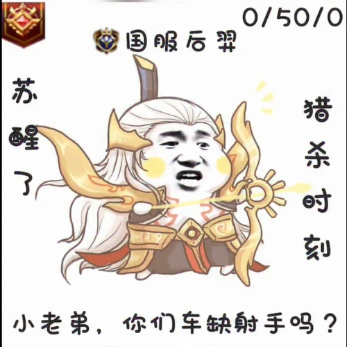 王者荣耀小老弟你们缺射手吗我国服后羿