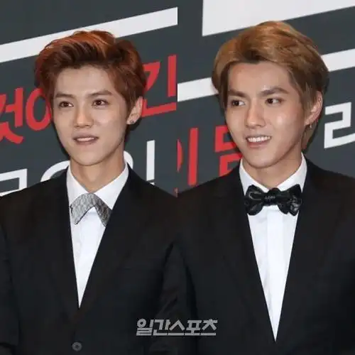 鹿晗吴亦凡(资料图)