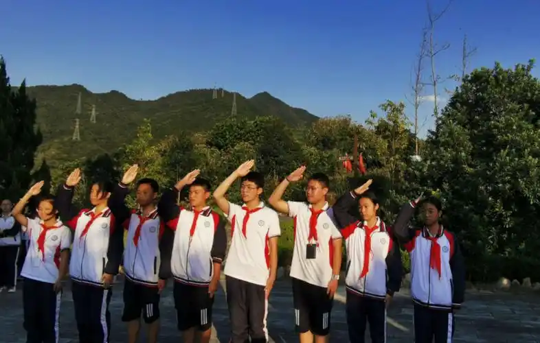 少先队敬礼  团员宣誓