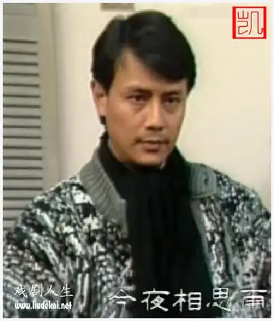 刘德凯版今夜相思雨剧照