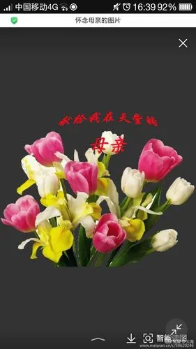 孩儿对妈妈的怀念,妈!您一路走好!