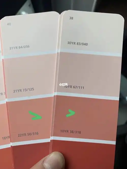 成都装修日记多乐士墙漆色号求参考