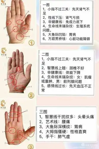掌纹分析大全