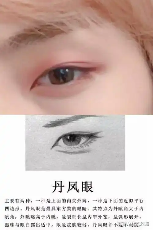 标准的丹凤眼到底什么样? - 知乎