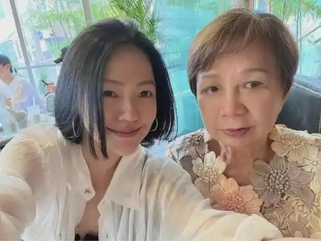 小s不敢离婚的瓜原来婆婆才是致命关键许家太狠了