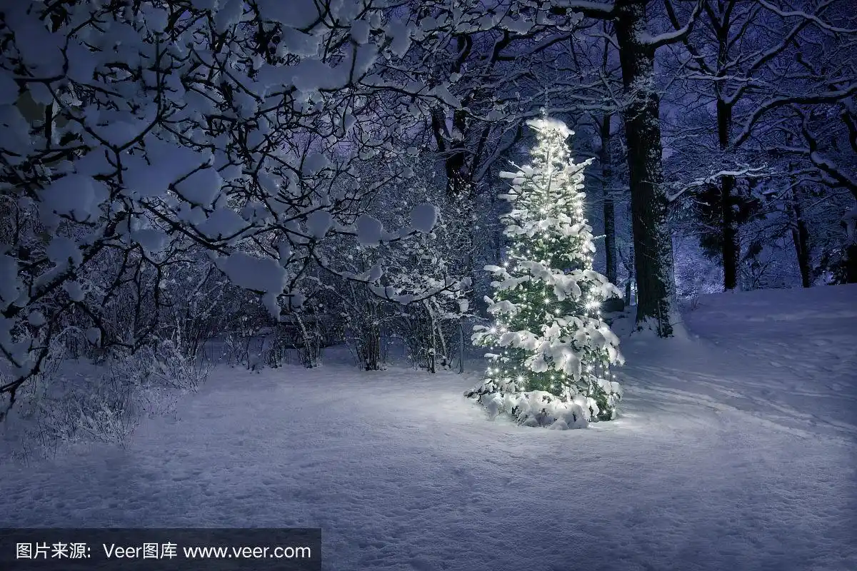 雪中的圣诞树