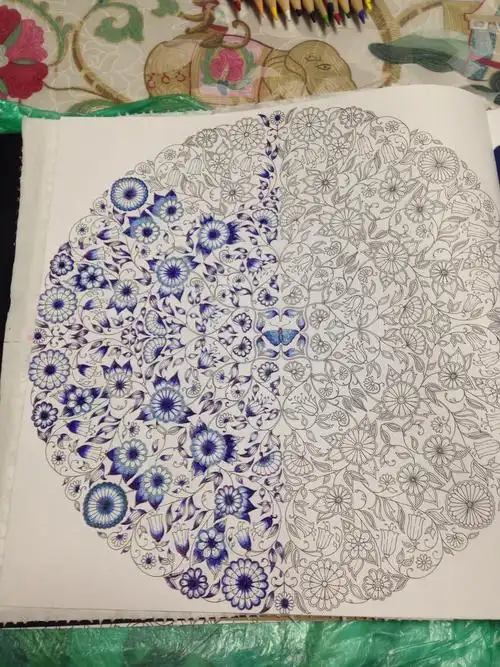 秘密花园#圆珠笔的产物