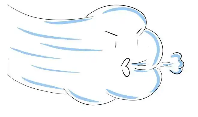 大风来袭你该怎么做?