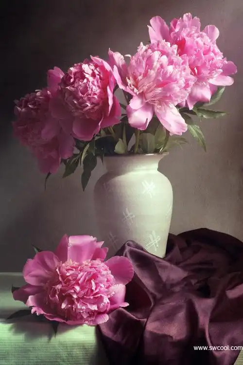 油画般的清新静物 - 堆糖,美图壁纸兴趣社区