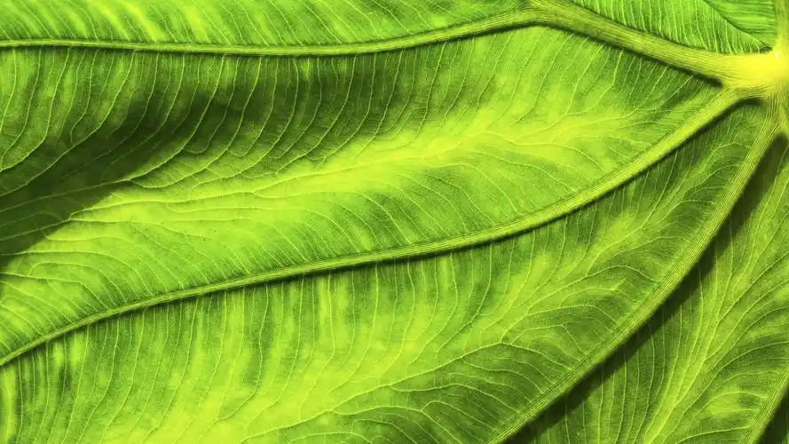 win10系统自带锁屏高清桌面壁纸