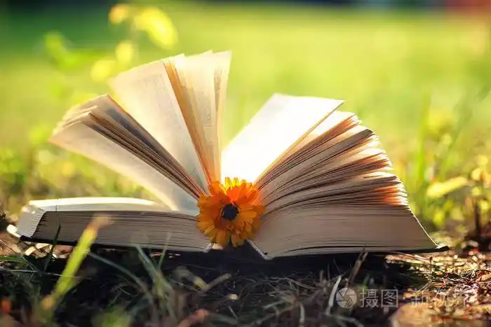 打开的书与花在草地上