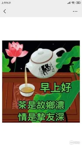 大家早上好