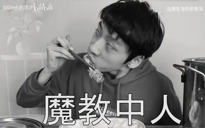 记录生活的蛋黄派妙啊妙蛙种子的进化历程妙不可言