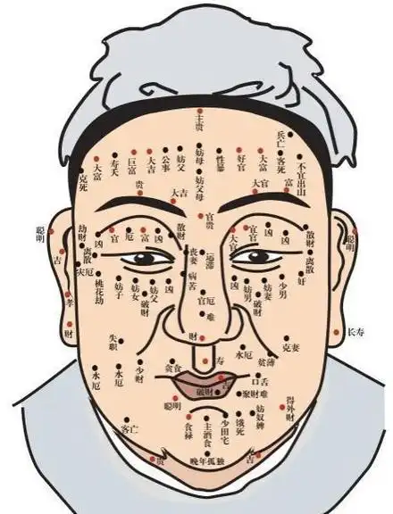 男人脸上长痣面相图(男人面部6处有痣痣相图解)风水人,鼻头长痣在面相