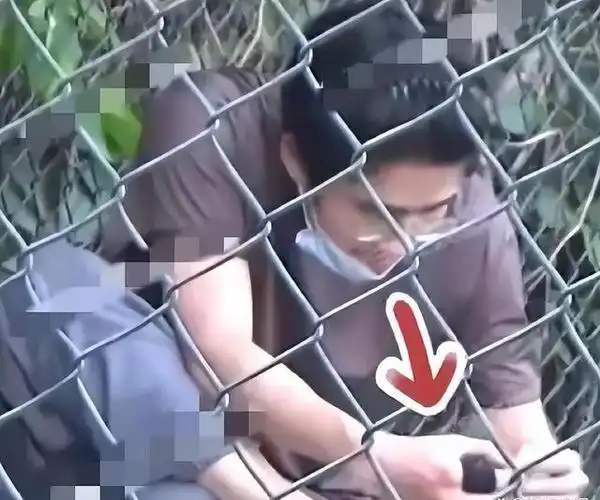 恋爱"八卦"才多久,周冬雨变化不大,刘昊然变化大到像"换人"