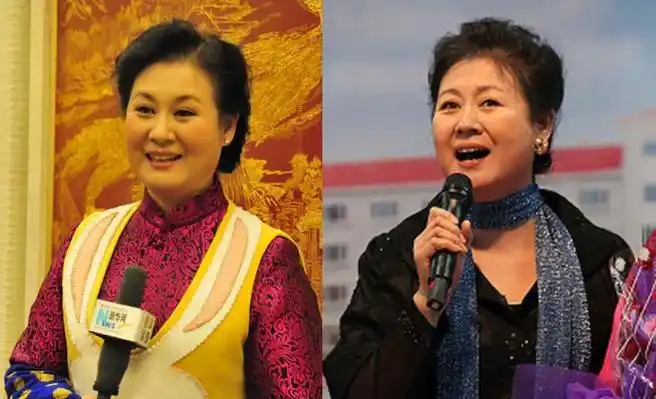 黄晓娟老公王奉友资料 过多投资最终受到法律制裁