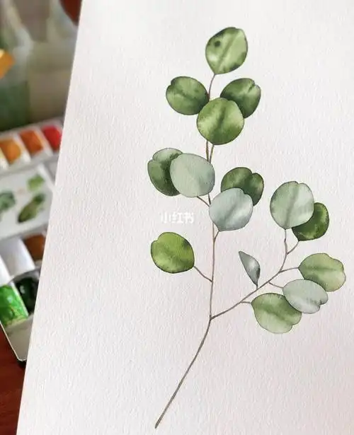 适合萌新水彩画入门适合新手的水彩画教程|初学者水彩画入门教程零