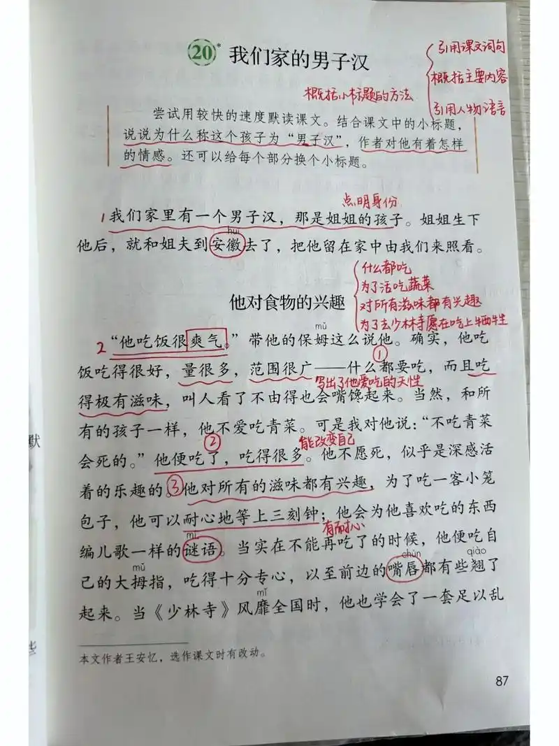 四下语文课堂笔记|第20课 我们家的男子汉