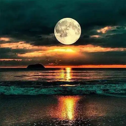 中老年头像大全成熟男士专用微信头像