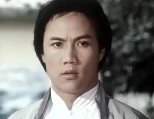 黄氏起名字大全男孩(黄元申:35岁演"霍元甲"走红)