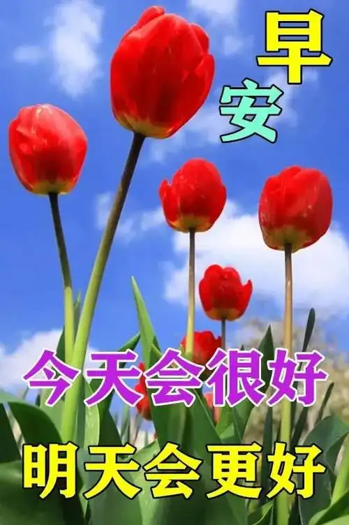 祝福语 免打字聊天的早安问候祝福动态图片表情 - 早上好问候祝福图片