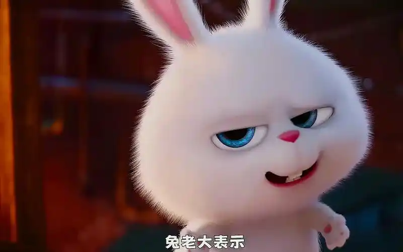 凶狠的兔老大最终沦落为兔宝宝