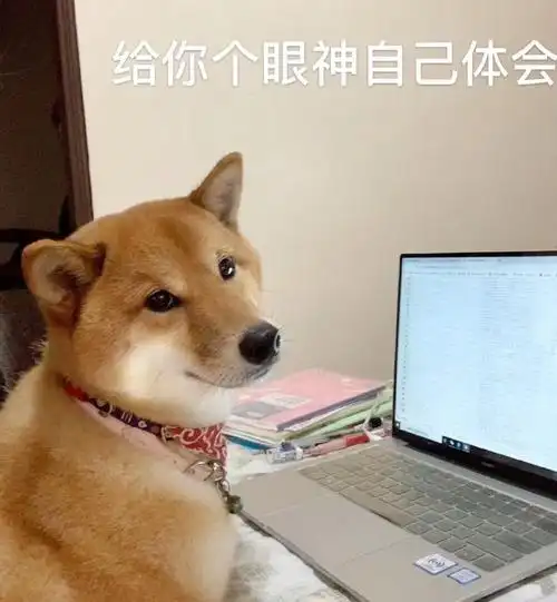 萌宠gif汪星人gif给你个眼神自己体会gif呆萌gif可爱gif