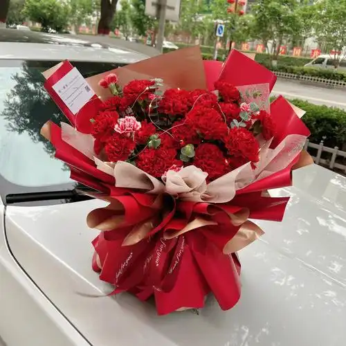 红康乃馨花束母亲节花束